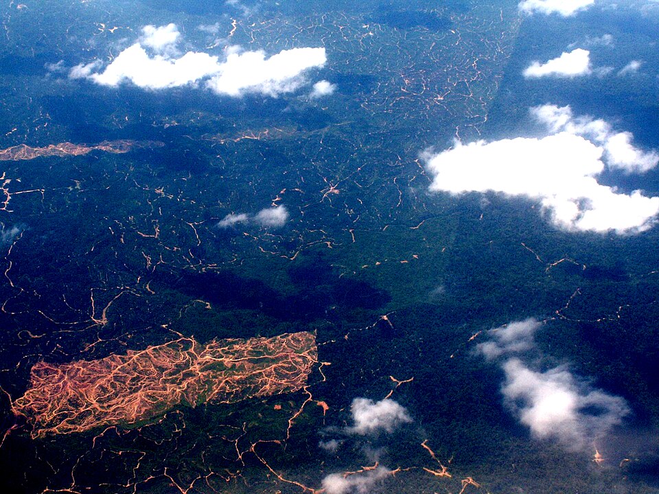 CAM-01 — Aerial Estate Overview
