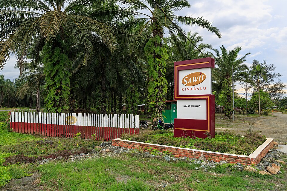CAM-06 — Estate Access Road